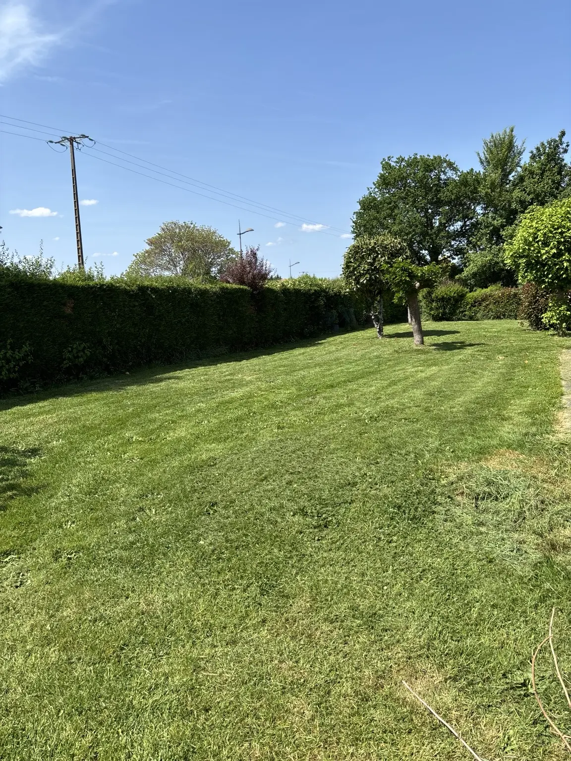 Pelouse entretenue par Natura Vert près de Mont-de-Marsan